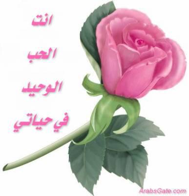 la rose